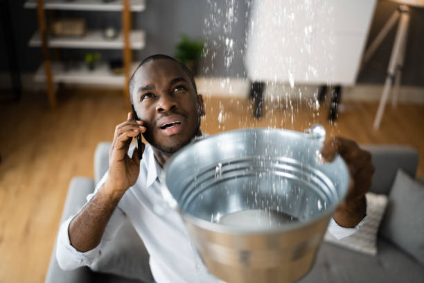 Best Basement water damage restoration  in Calumet, PA