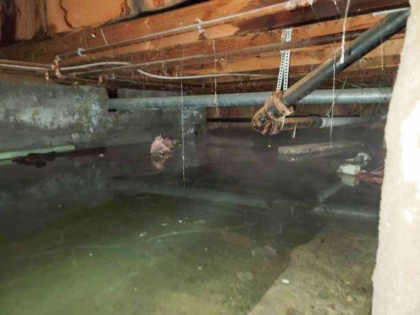  Calumet, PA Water damage restoration Pros