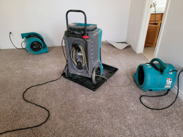 Best Flood restoration services  in Calumet, PA