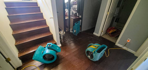 Best Flooded house restoration  in Calumet, PA