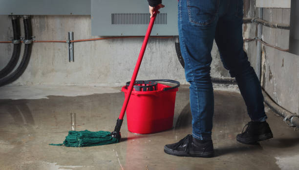 Best Water damage restoration company  in Calumet, PA