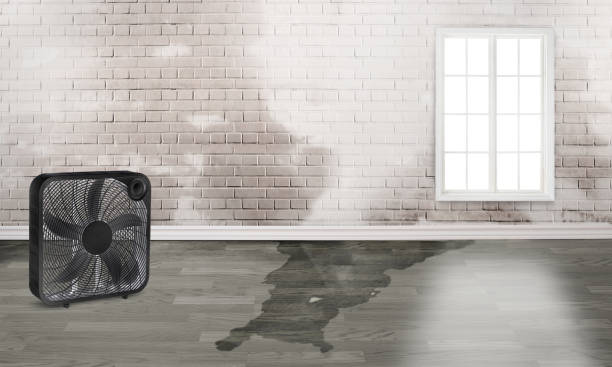Best 24/7 water damage repair  in Calumet, PA