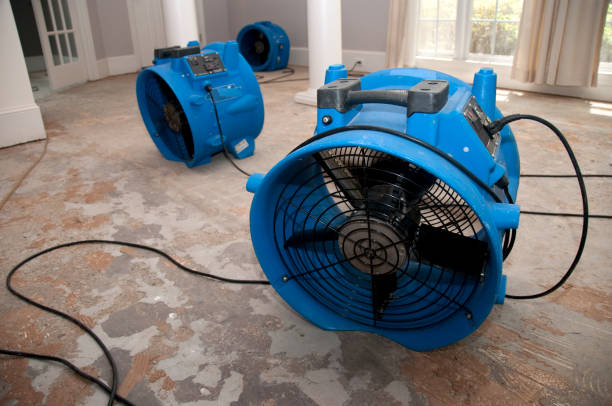 Best Water damage cleanup near me  in Calumet, PA