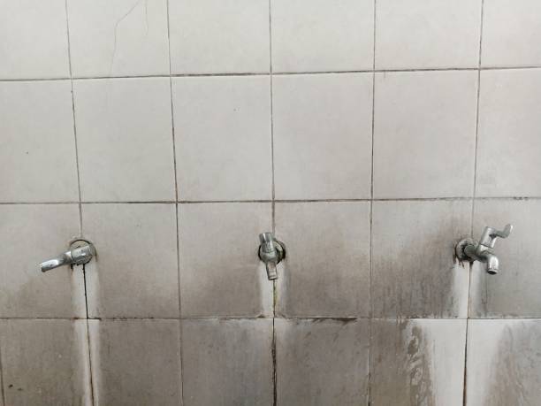 Best 24-hour water damage restoration  in Calumet, PA