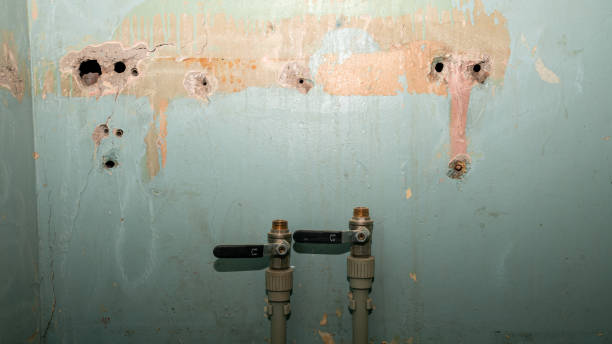 Best Fire Damage Restoration  in Calumet, PA