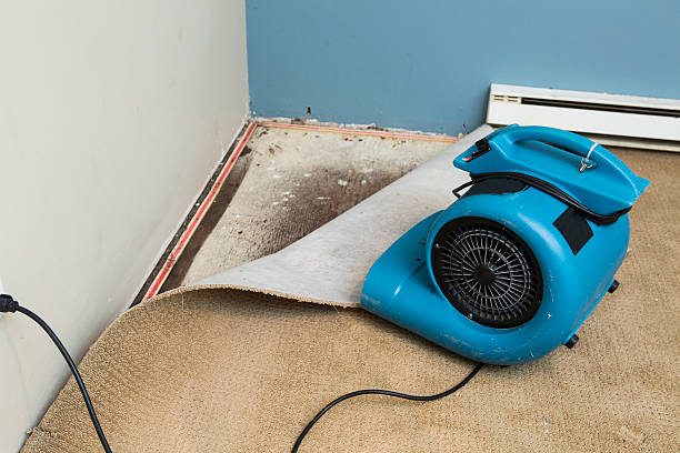 Best Emergency water damage restoration  in Calumet, PA